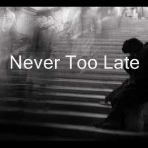 MAGNIFICENT JOE - NEVER TOO LATE