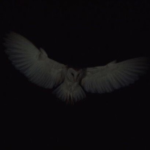 TMTTMF x THE DEVIL STRIGOI - NGTWL (PROD SOLVE)