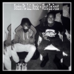 Nacho Ft. Lil Mook - What Im Bout