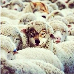 Ray Noodles..feat. DJ Redhanded- Won't Go