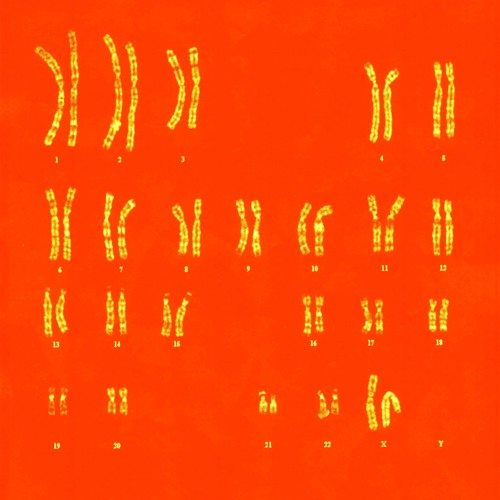 #TTOT (The Tricks Of Transmission) - - - SynTalk