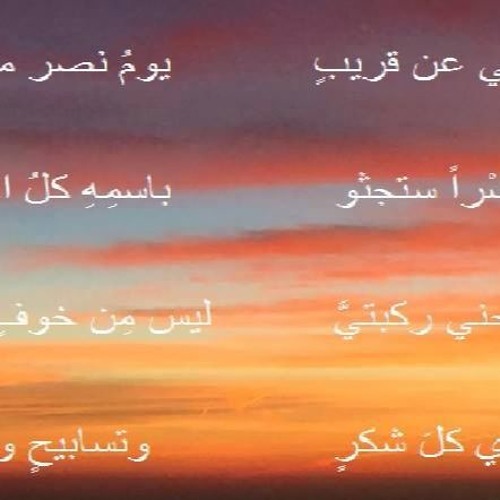يوسف رياض