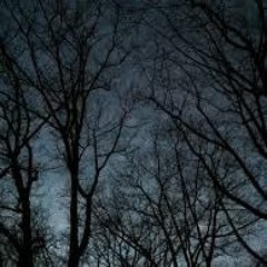 Wind Drone/ Yam REV500 Test.