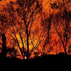 Deep Guitar Vibes (Not Mastered) Home Recording