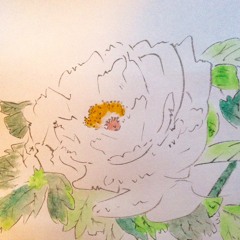 Withering Chrysanthemum / 残菊 (2016)