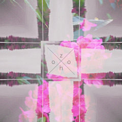 Winter Wallflower