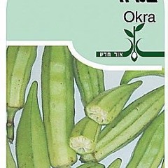 #1 במיה דיפרסיה