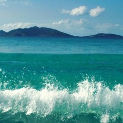 Sam Harrison - Y'all