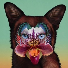 This Time (No Money)Trap Code Remix