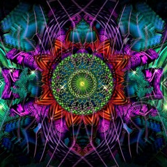 •༺ Rafyx ༻• - Formants Out Of Control