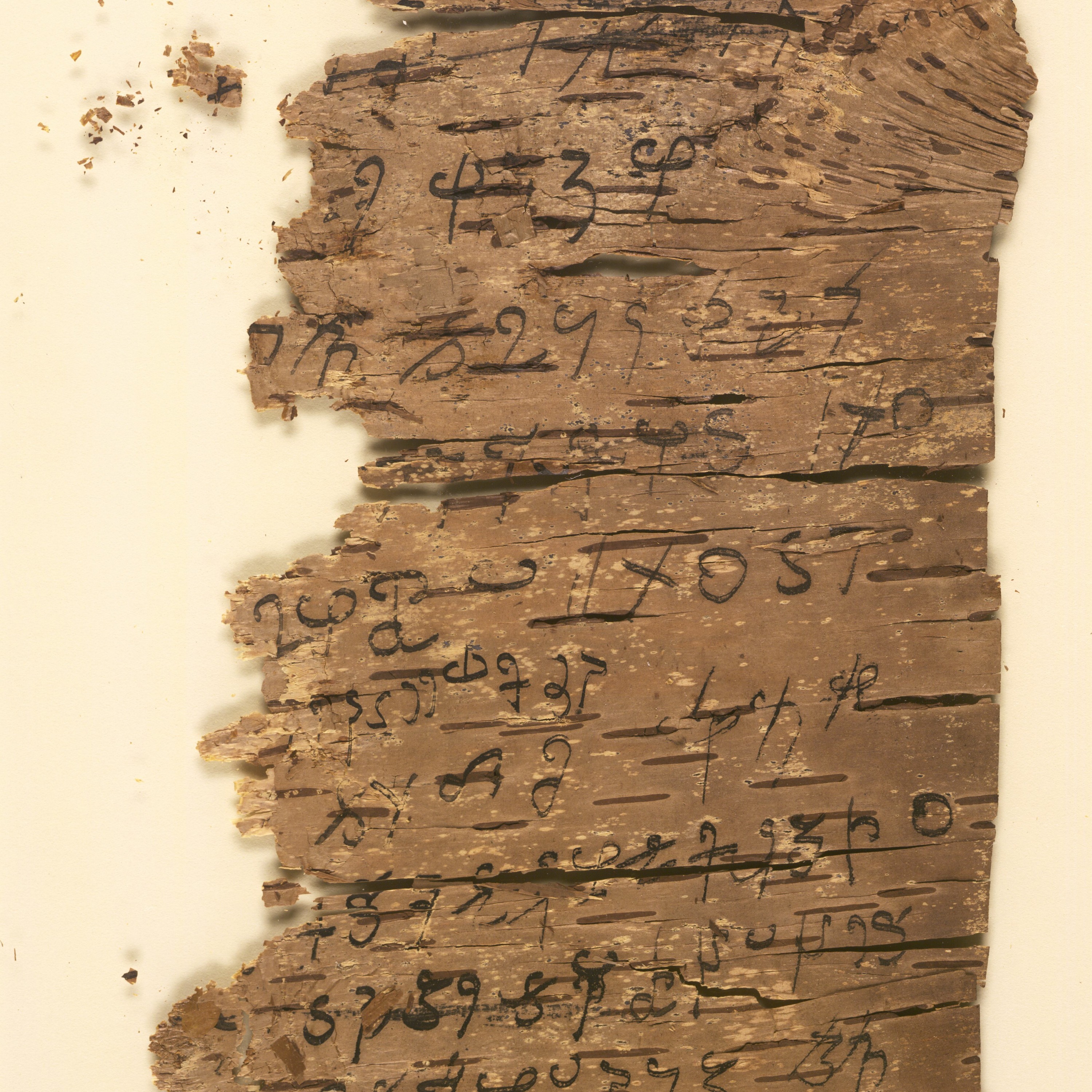Professor Richard Salomon: Reflections on the study of the oldest Buddhist manuscripts episode artwork