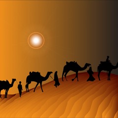 Desert Caravan