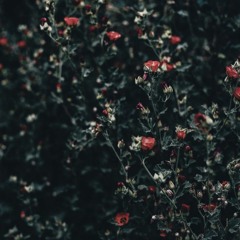 intro (an act of faith)