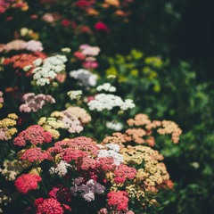 commune with nature