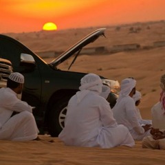 distorted tranquility