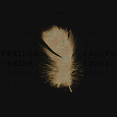 COLE - Feather (Prod by COLE & Sbvce)