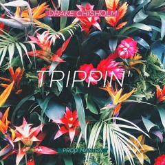 Trippin' feat. Breana Marin