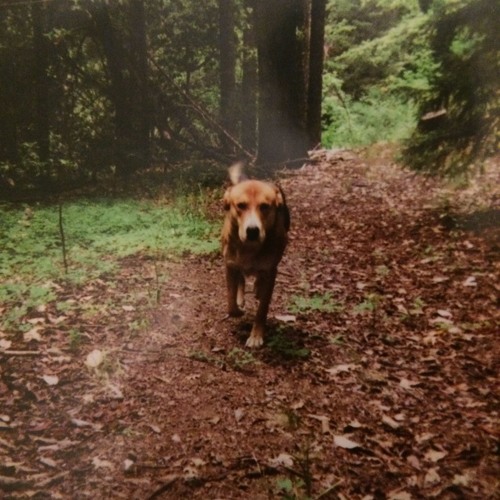 Sundog (Demo Version)