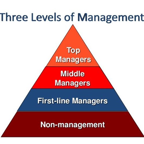 Stream Management In Organizations Top Middle Low Level Managers by ...