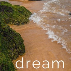 Dreaming Of Daylight