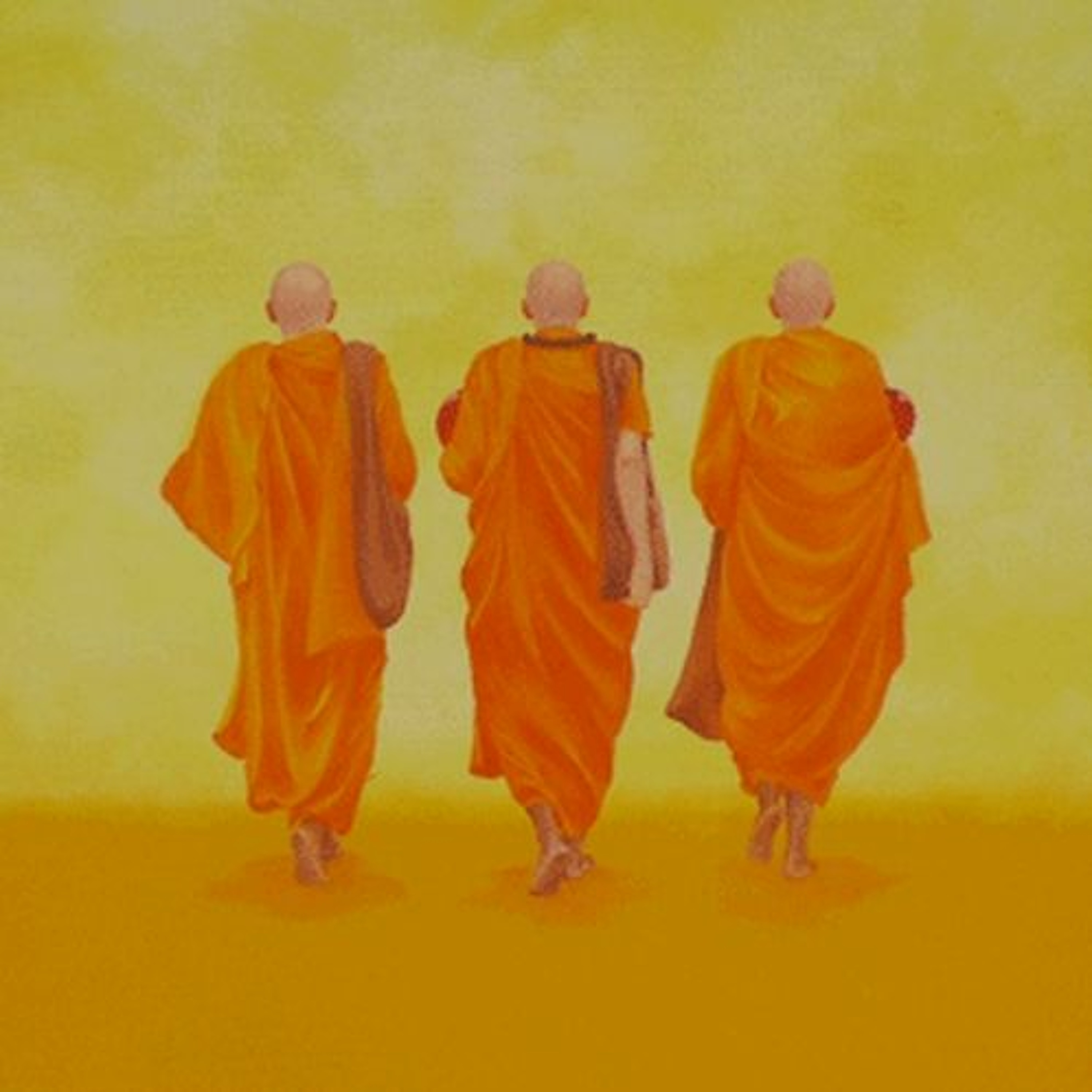 Divya Jyoti Jagrati Sansthan