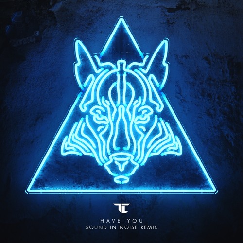 TC - Have You (Sound In Noise Remix)