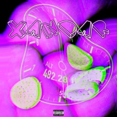 XANDAR | HOLLOW POINTS (prod. By SWAYLABEATS)