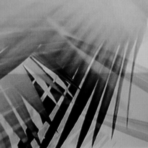 Yannick Dauby - A Pattern Which Connects Yannick Dauby - A Pattern Which Connects