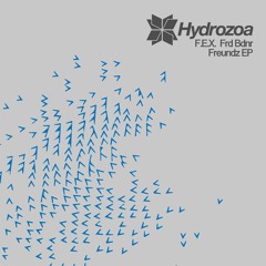 F.E.X. Frd Bdnr - Freundz (Original Mix)[Hydrozoa]