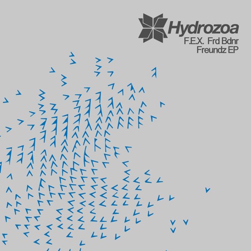 F.E.X. Frd Bdnr - Freundz (Original Mix)[Hydrozoa]