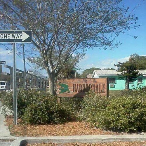 Li Kebo X Sirdarealest - Destined (Remix) FREESTYLE