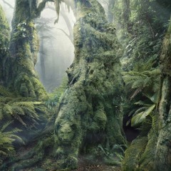 Lox Chatterbox - Confess