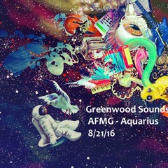 DJ Greenwood @ Asheville Full Moon Gathering (August 2016)