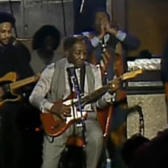 Muddy Waters The Rolling Stones - Baby Please Dont Go - Live At Checkerboard Lounge