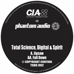 TSDS002AA - Fall Down