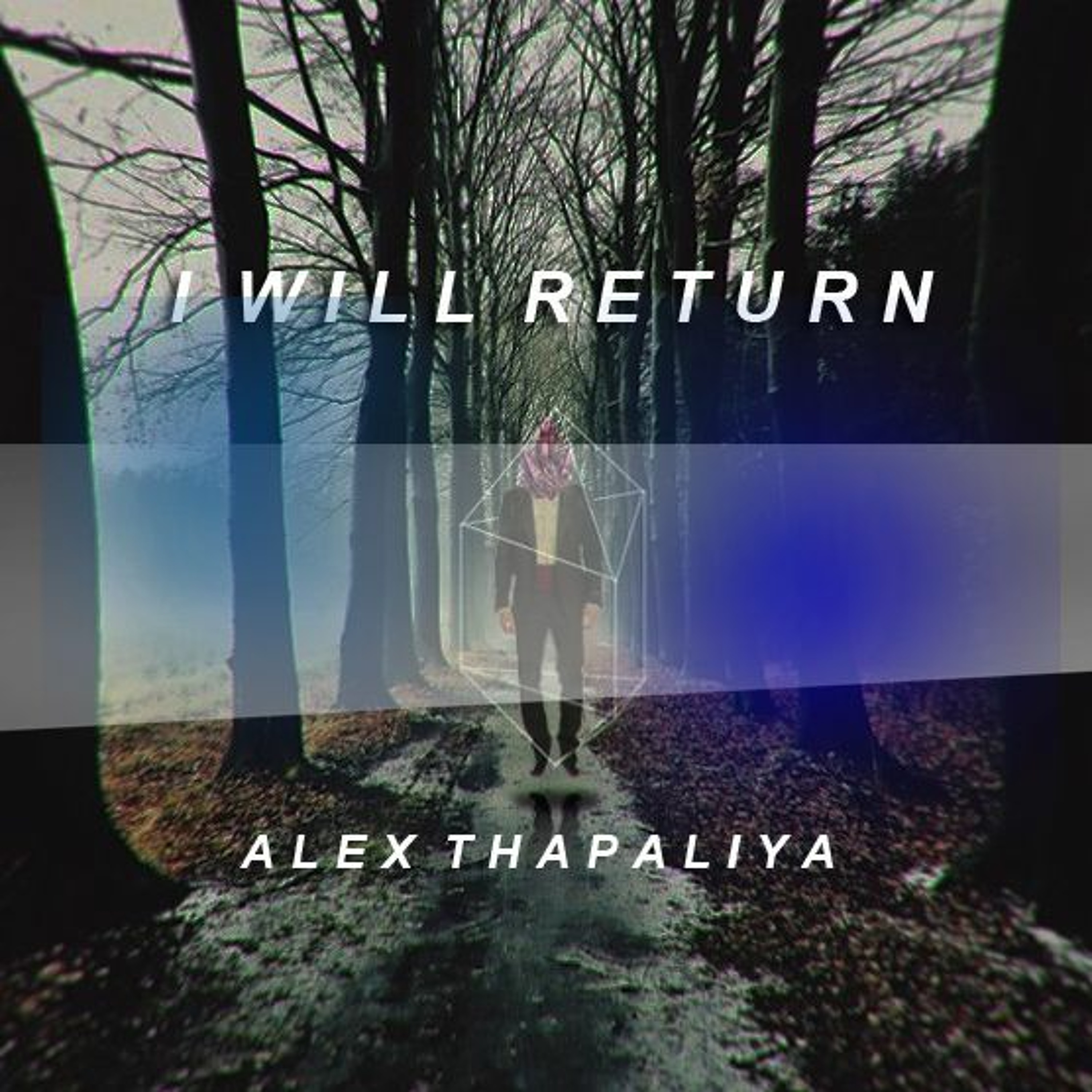 Alex Thapaliya (DJ ALEX THAPALIYA)
