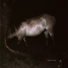 Yaleesa Hall - Woodall