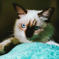 ใบไม้ 25 HOUR : Cover