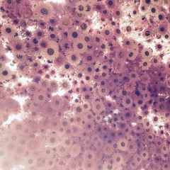 Merry go round - Sugar Rocket