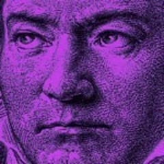 Beethoven: Quartet for Strings no 11 in F minor, Op. 95 Allegretto ma non troppo