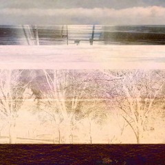 Explorations 1.a - Wasteland Surveyor