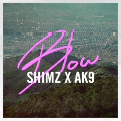 SHIMZ X ak9 - Blow