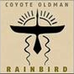 Coyote Oldman Rainbird
