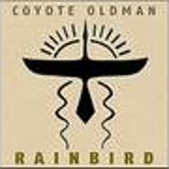 Coyote Oldman Wet Earth