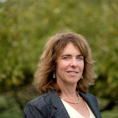 Fat and sick: seeking the links between obesity and Type 2 diabetes