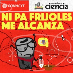 Ni pa frijoles me alcanza