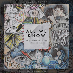 The Chainsmokers - All We Know ft. Phoebe Ryan (Sevim Remix)