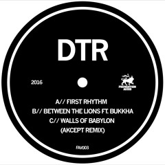 FAV003: DTR - First Rhythm / Between The Lions (ft. Bukkha) / Walls of Babylon (Akcept Remix)