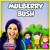 Artwork for Here We Go Round the Mulberry Bush | Nursery Rhymes and Kids Songs for Children | Mulberry Bush