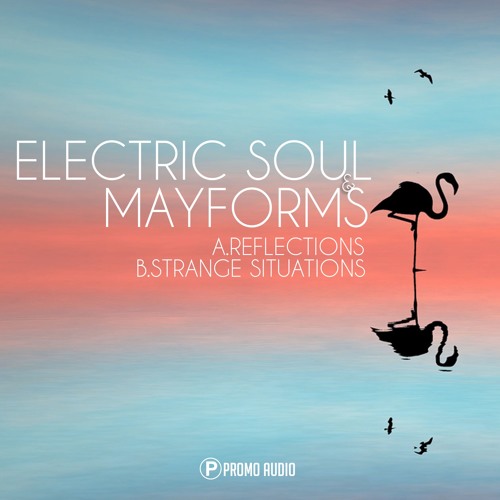 Electric Soul & M.A.Y.F.O.R.M.S.- Reflections